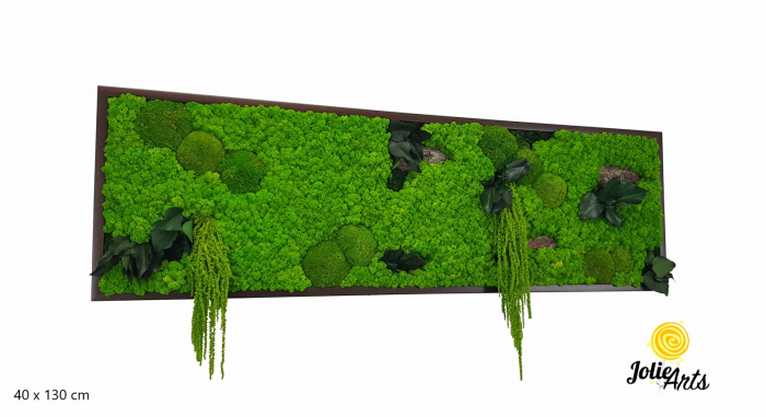 Tablou Green Amaranthus cu licheni și plante naturale stabilizate [2]
