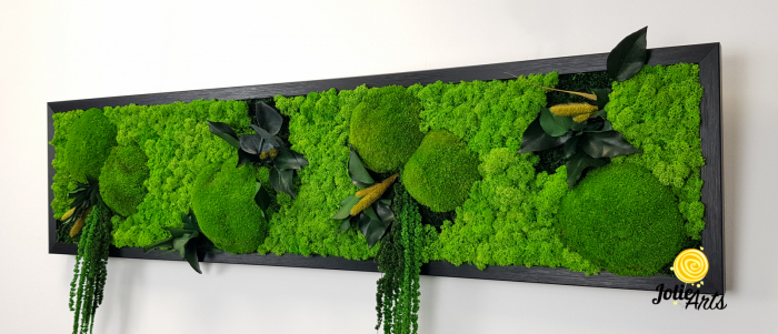 Tablou licheni, muschi si plante naturale stabilizate, Model Green Amaranthus, rama alba, dimensiune 25 x 100 cm, Jolie Arts, www.tablouriculicheni.ro-2 [6]