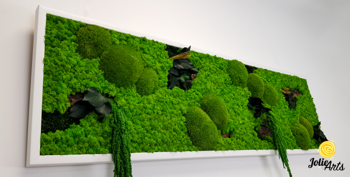 Tablou licheni, muschi si plante naturale stabilizate, Model Green Amaranthus, rama alba, dimensiune 25 x 100 cm, Jolie Arts, www.tablouriculicheni.ro-2 [6]