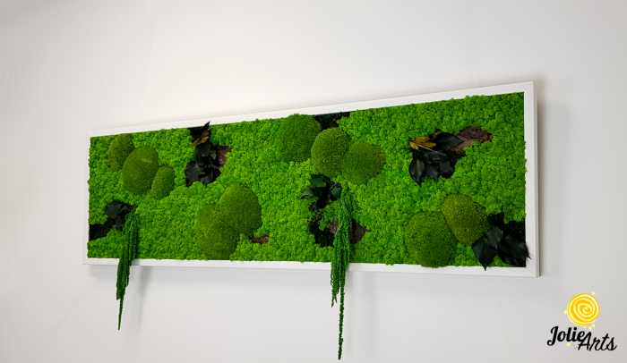 Tablou licheni, muschi si plante naturale stabilizate, Model Green Amaranthus, rama alba, dimensiune 25 x 100 cm, Jolie Arts, www.tablouriculicheni.ro-2 [2]