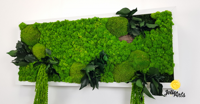 Tablou Green Amaranthus cu licheni și plante naturale stabilizate [6]