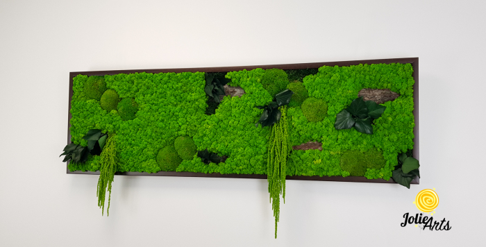 Tablou Green Amaranthus cu licheni și plante naturale stabilizate [3]