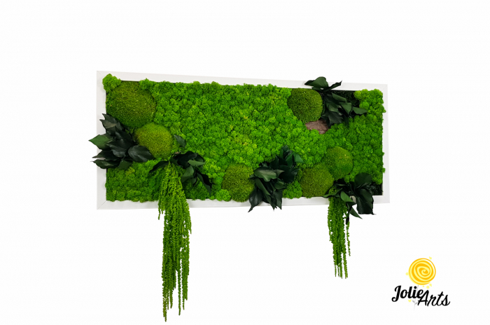 Tablou licheni, muschi si plante naturale stabilizate, Model Green Amaranthus, rama alba, dimensiune 25 x 100 cm, Jolie Arts, www.tablouriculicheni.ro-2 [1]