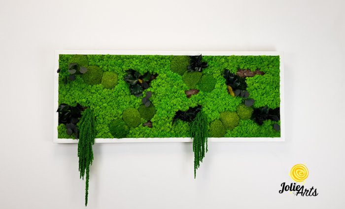 Tablou Green Amaranthus cu licheni și plante naturale stabilizate [5]