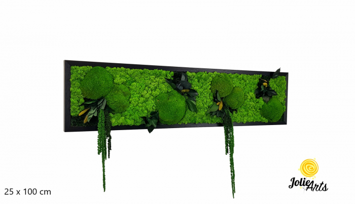 Tablou Green Amaranthus cu licheni și plante naturale stabilizate [2]