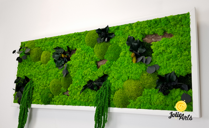 Tablou Green Amaranthus cu licheni și plante naturale stabilizate [7]