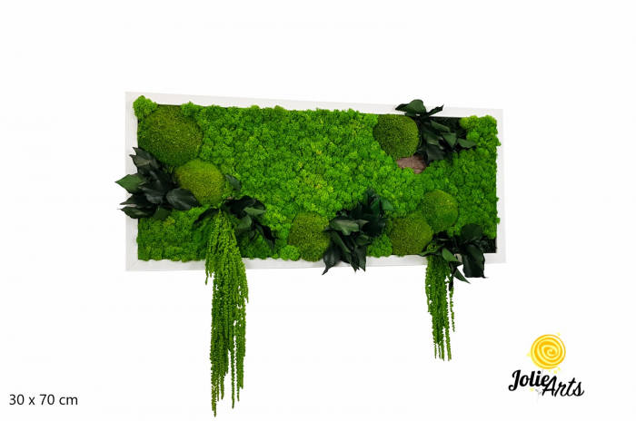 Tablou Green Amaranthus cu licheni și plante naturale stabilizate [2]