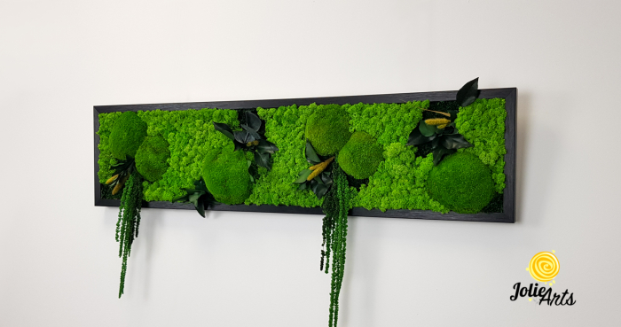 Tablou Green Amaranthus cu licheni și plante naturale stabilizate [3]