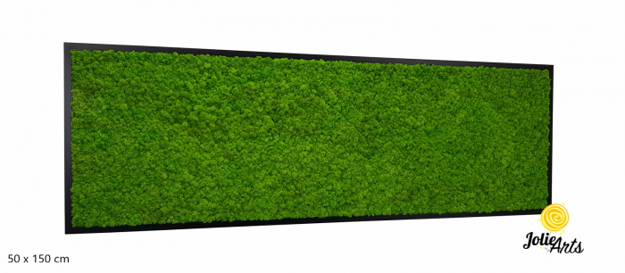 Tablou licheni naturali stabilizati, culoare verde deschis, 25 x 100 cm, Jolie Arts, www.tablouriculicheni.ro-3 [1]