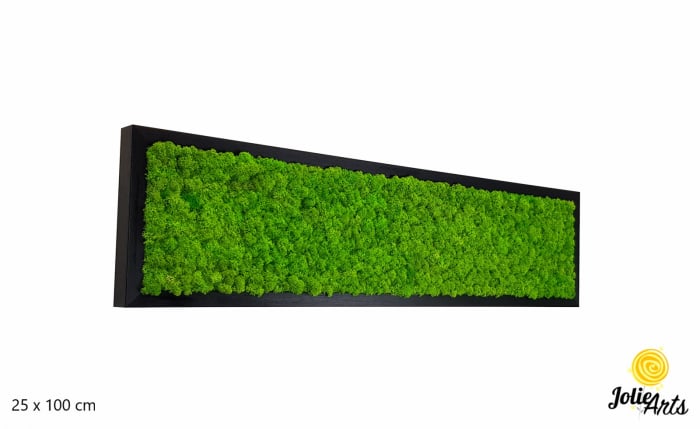 Tablou licheni naturali stabilizati, culoare verde deschis, 25 x 100 cm, Jolie Arts, www.tablouriculicheni.ro-3 [1]