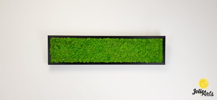Tablou licheni naturali stabilizati, culoare verde deschis, 25 x 100 cm, Jolie Arts, www.tablouriculicheni.ro-3 [3]