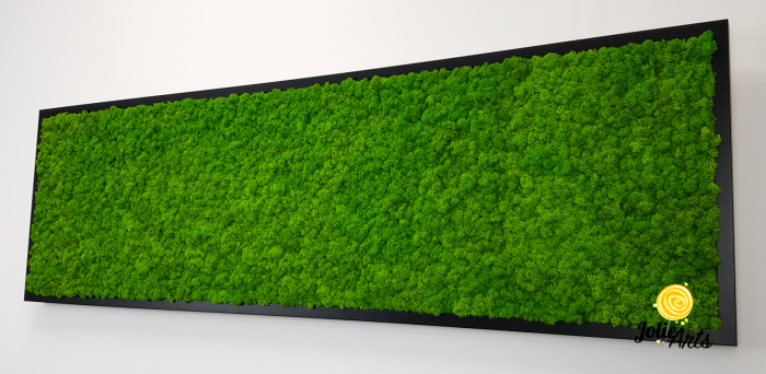 Tablou licheni naturali stabilizați verde deschis – Jolie Arts [6]