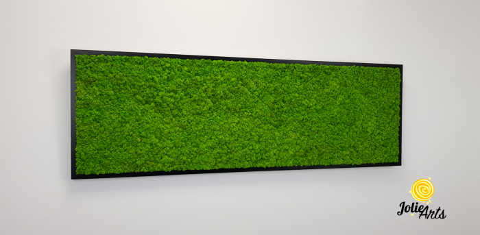 Tablou licheni naturali stabilizati, culoare verde deschis, 25 x 100 cm, Jolie Arts, www.tablouriculicheni.ro-3 [4]