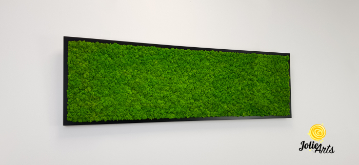 Tablou licheni naturali stabilizați verde deschis – Jolie Arts [5]