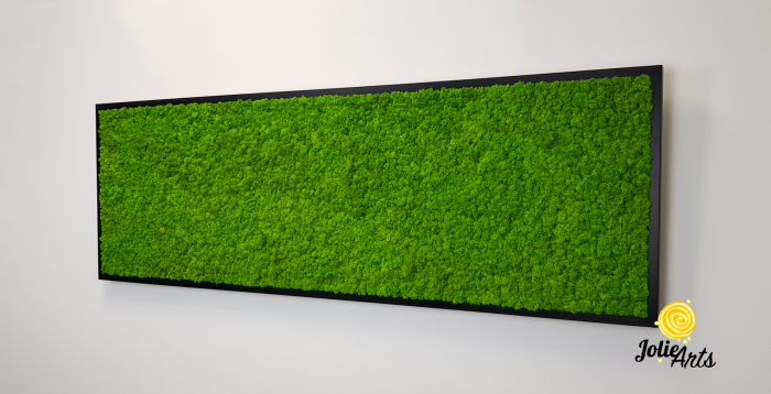Tablou licheni naturali stabilizati, culoare verde deschis, 25 x 100 cm, Jolie Arts, www.tablouriculicheni.ro-3 [2]