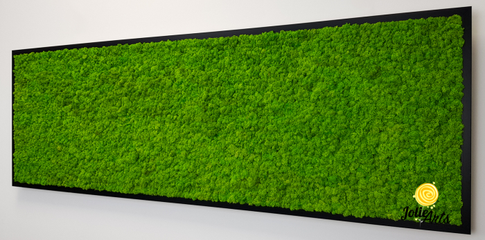 Tablou licheni naturali stabilizati, culoare verde deschis, 25 x 100 cm, Jolie Arts, www.tablouriculicheni.ro-3 [6]
