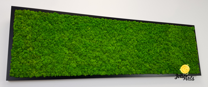 Tablou licheni naturali stabilizați verde deschis – Jolie Arts [7]