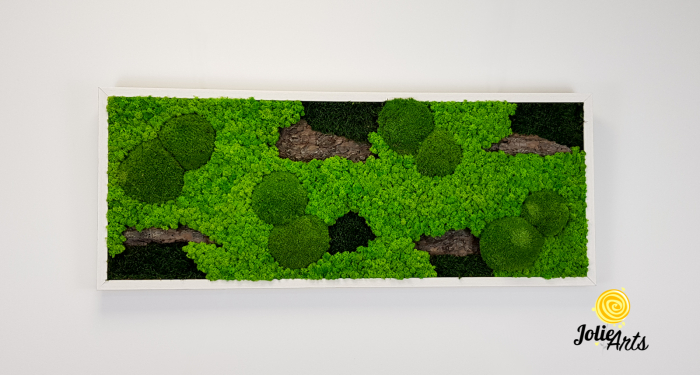 Tablou licheni naturali, muschi bombati, decor natural, Jolie Arts, Model Scoarta [3]