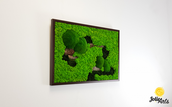 Tablou Scoarță Clasică cu Mușchi Bombați și Licheni Naturali Stabilizați [3]