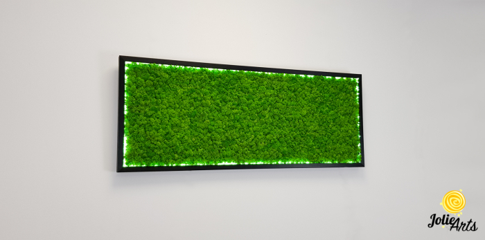 Tablou licheni naturali stabilizati accesorizat cu banda led [5]