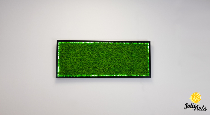 Tablou licheni naturali stabilizati accesorizat cu banda led [3]