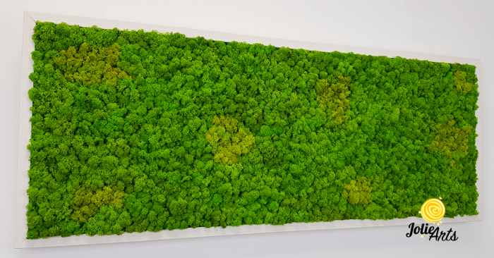 Tablou licheni naturali stabilizati, culoare Grass Green Light cu insertii de Spring [5]