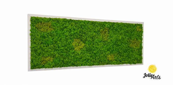 Tablou Licheni Naturali Stabilizati, Culoare Grass Green Light cu Insertii de Spring [2]