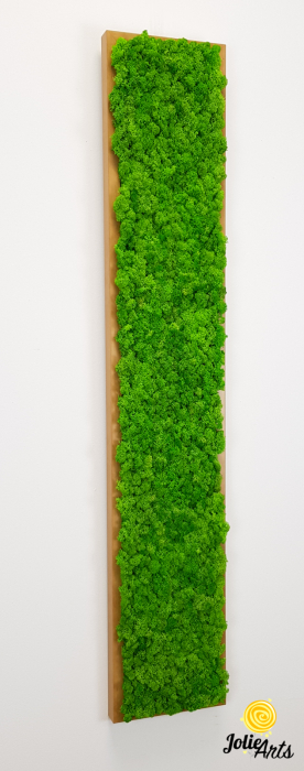 Set 4 tablouri decorate cu licheni naturali stabilizati, 25 x 100 cm [6]