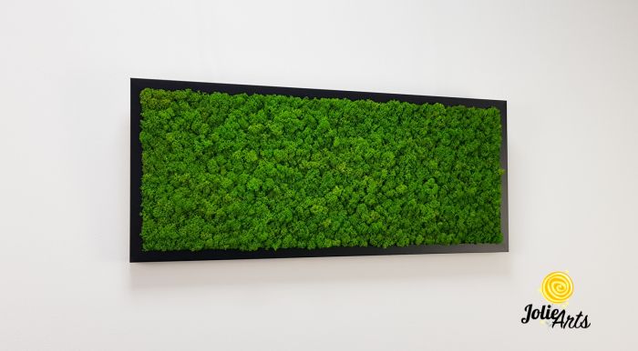 Tablou licheni naturali stabilizați verde deschis – Jolie Arts [4]