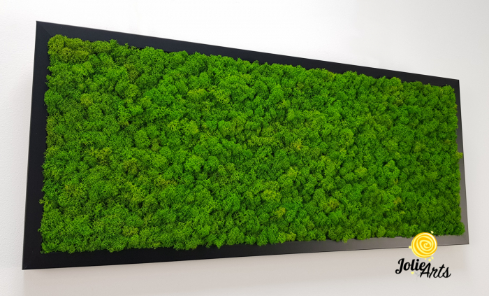 Tablou licheni naturali stabilizați verde deschis – Jolie Arts [6]