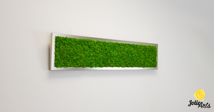 Tablou licheni naturali stabilizați verde deschis – Jolie Arts [5]