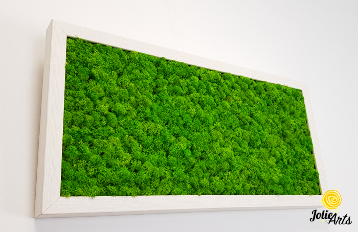 Tablou licheni naturali stabilizați verde deschis – Jolie Arts [5]