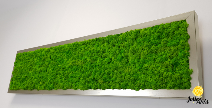 Tablou licheni naturali stabilizați verde deschis – Jolie Arts [7]