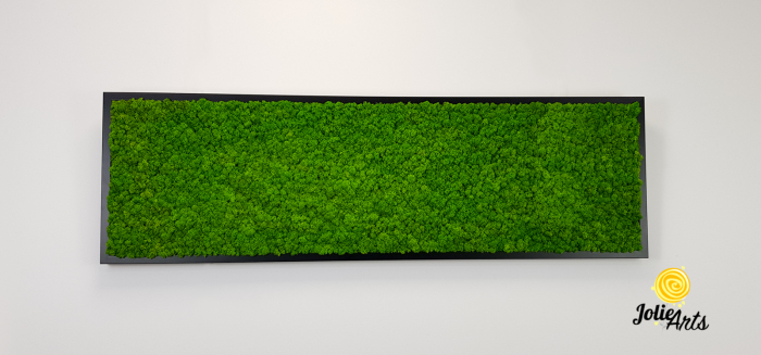 Tablou licheni naturali stabilizați verde deschis – Jolie Arts [4]