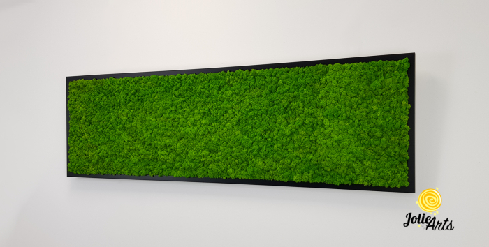 Tablou licheni naturali stabilizați verde deschis – Jolie Arts [3]