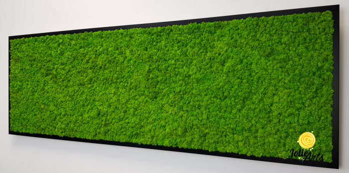 Tablou licheni naturali stabilizați verde deschis – Jolie Arts [7]