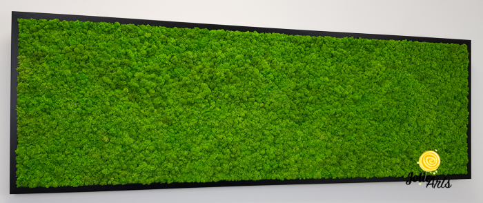 Tablou licheni naturali stabilizati, culoare verde deschis, rama argintie 20 X 80 cm, Jolie Arts, www.tablouriculicheni.ro-2 [5]