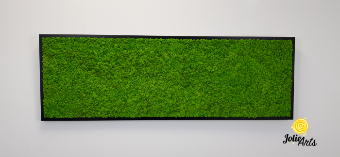 Tablou licheni naturali stabilizati, culoare verde deschis, rama argintie 20 X 80 cm, Jolie Arts, www.tablouriculicheni.ro-2 [3]