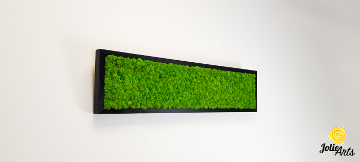 Tablou licheni naturali stabilizați verde deschis – Jolie Arts [6]