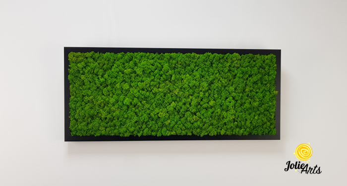 Tablou licheni naturali stabilizați verde deschis – Jolie Arts [3]