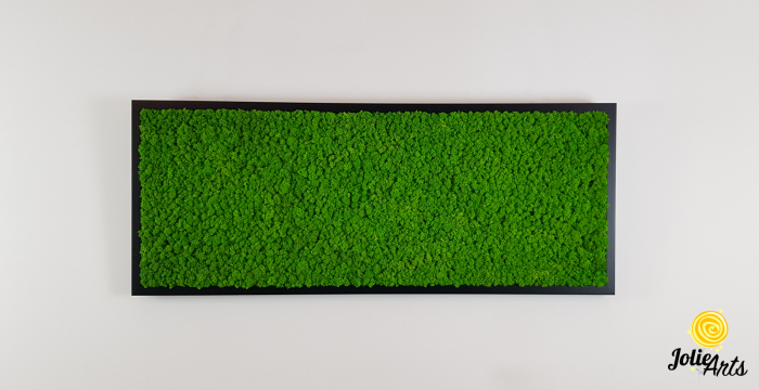 Tablou licheni naturali stabilizați verde deschis – Jolie Arts [3]