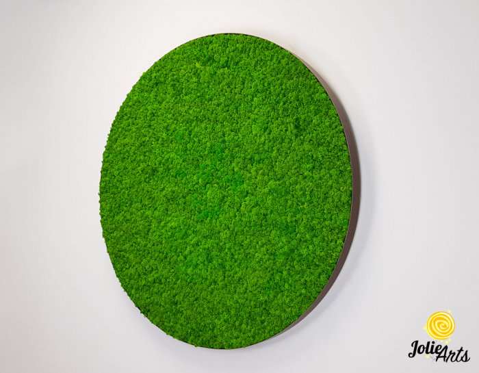 Tablou licheni verde deschis ramă rotundă – Jolie Arts [2]