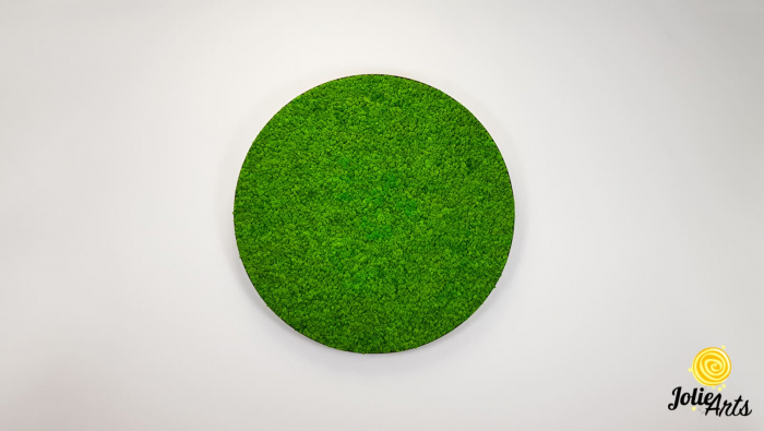Tablou licheni verde deschis ramă rotundă – Jolie Arts [3]