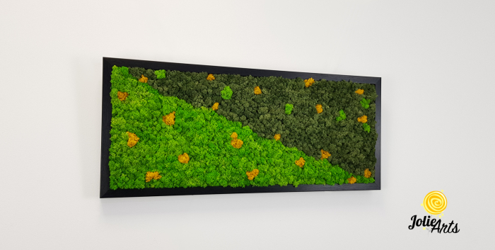 Tablou licheni naturali stabilizati, doua nuante de verde cu insertii de galben [4]