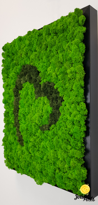 Tablou licheni naturali stabilizați, model Inimă Stilizată Jolie Arts, două nuanțe de verde [5]