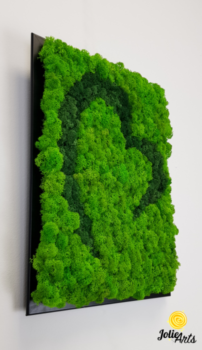 Tablou licheni naturali stabilizați, model Inimă Stilizată Jolie Arts, două nuanțe de verde [4]