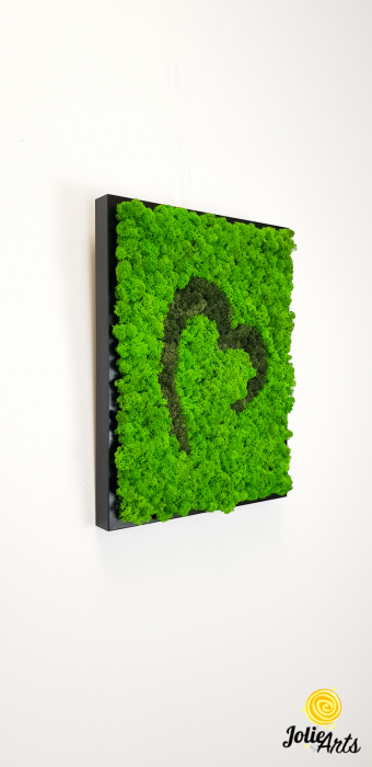 Tablou licheni naturali stabilizati Jolie Arts, model inima stilizata, doua nuante de verde [6]