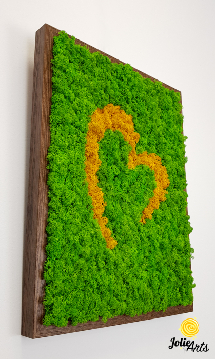 tablou-licheni-naturali-stilizati-model-inima-stilizata-jolie-arts.jpg [4]