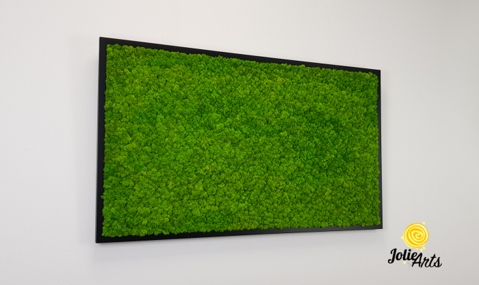Tablou licheni naturali stabilizați verde deschis – Jolie Arts [5]