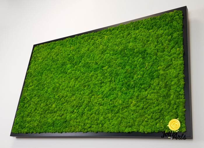 Tablou licheni naturali stabilizați verde deschis – Jolie Arts [6]